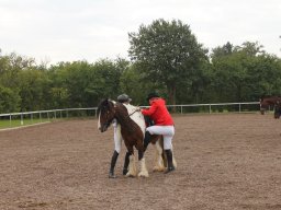 img_9544_web